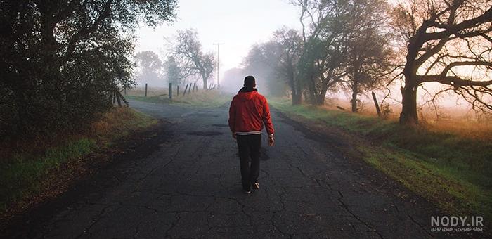  عکس جاده جنگلی با کیفیت بالا