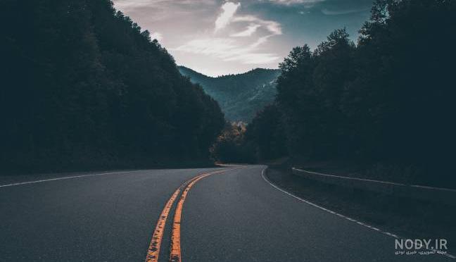  عکس جاده جنگلی با کیفیت بالا
