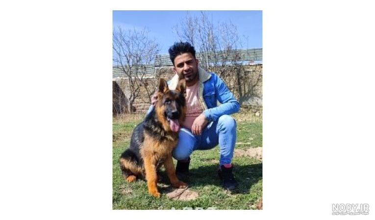 آلبوم عکس سگ ژرمن اصیل انواع نژاد شپرد ، شولاین - تــــــــوپ تـــــــــاپ آلبوم عکس سگ ژرمن اصیل انواع نژاد شپرد ، شولاین - تــــــــوپ تـــــــــاپ