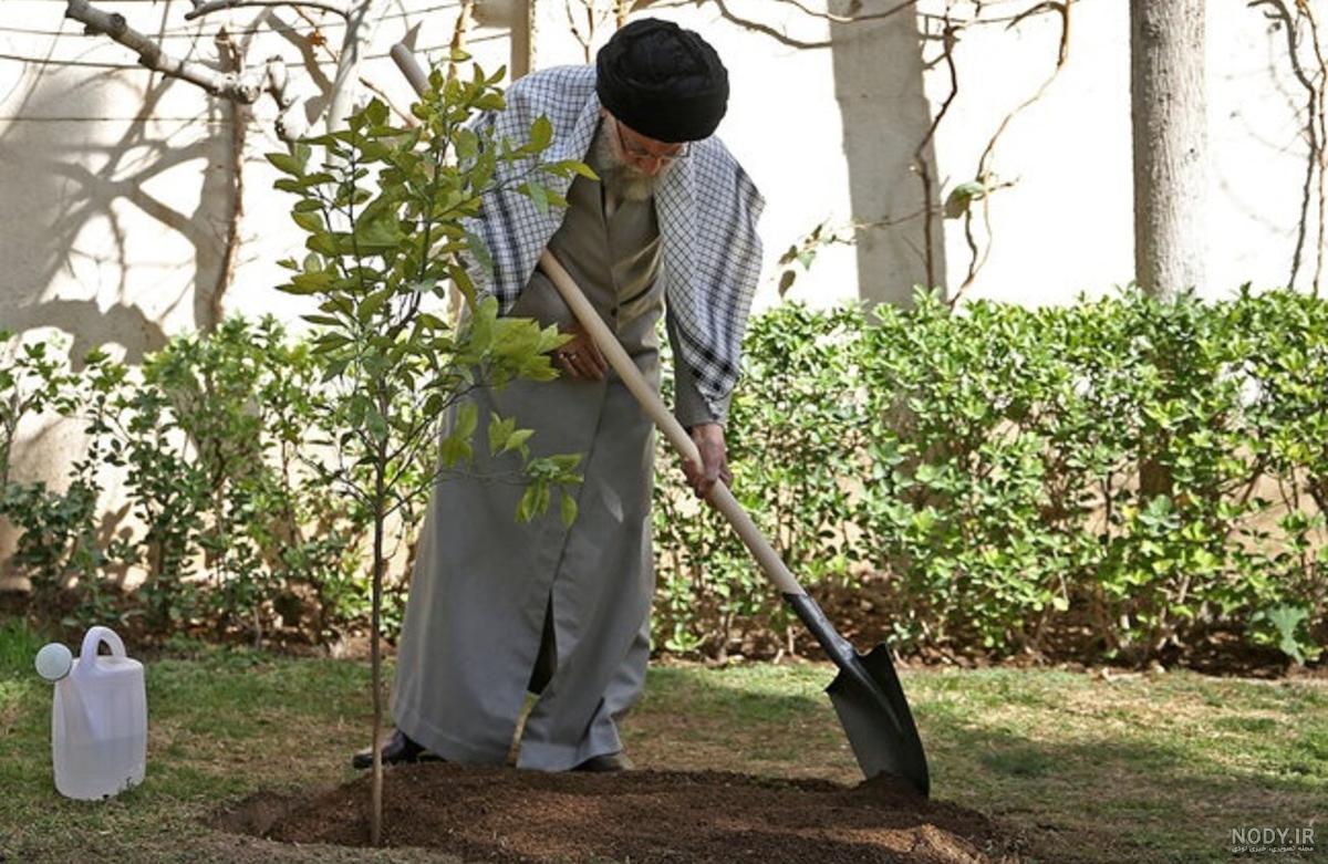 تصاویر: کاشت نهال توسط رهبر انقلاب همزمان با روز درختکاری | سایت انتخاب تصاویر: کاشت نهال توسط رهبر انقلاب همزمان با روز درختکاری | سایت انتخاب