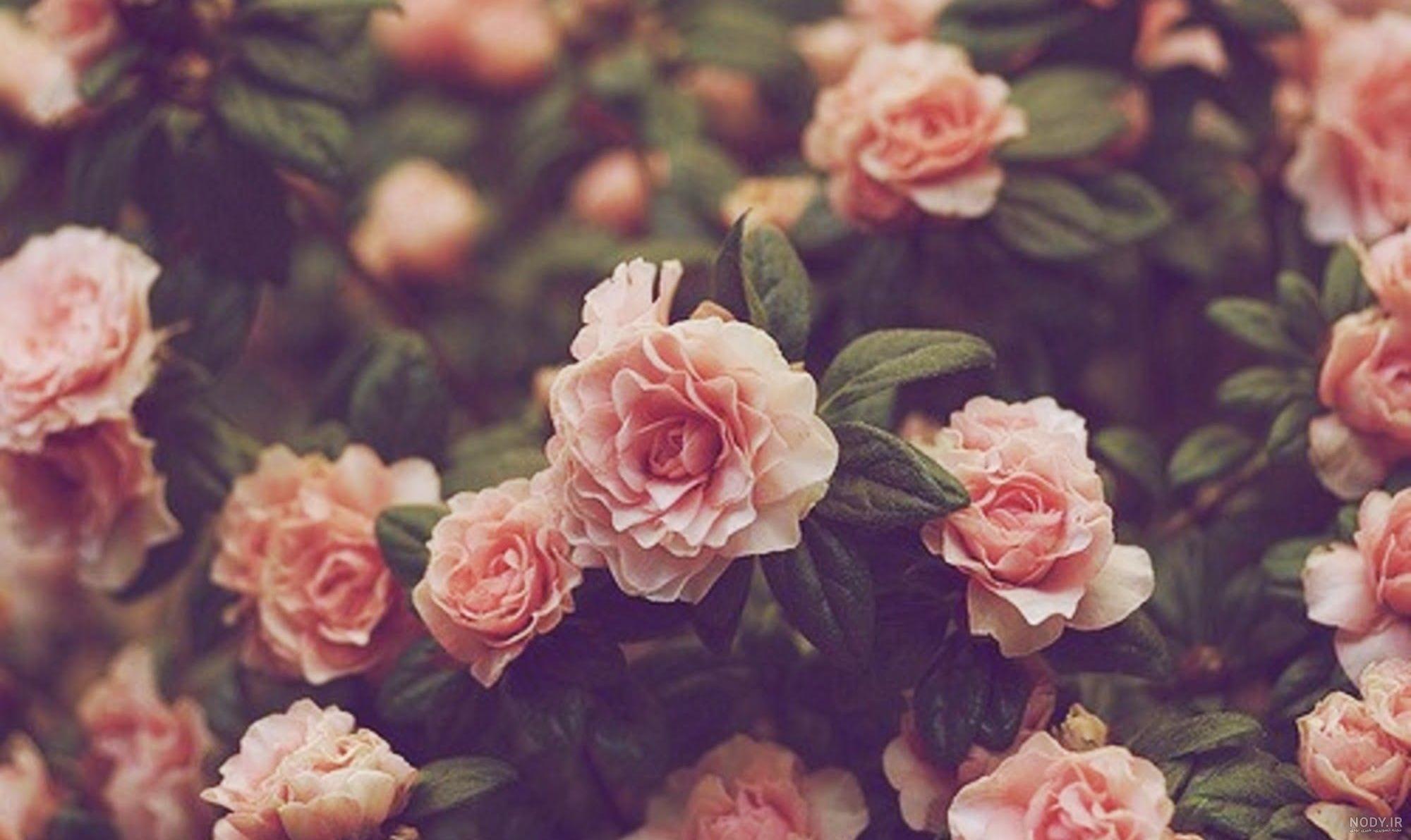 تصویر زمینه ماه برای کامپیوتر