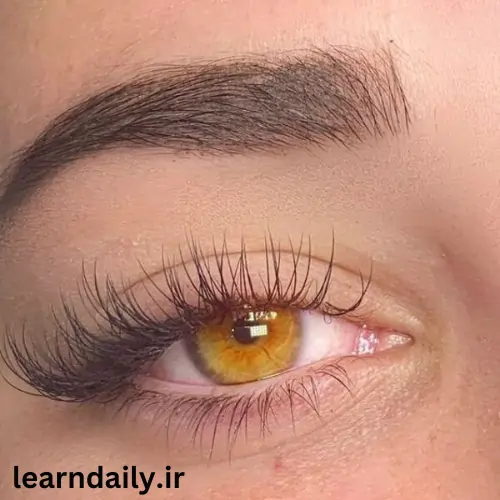جدیدترین مدل های کاشت مژه + انواع اکستنشن مژه | ساتیشو جدیدترین مدل های کاشت مژه + انواع اکستنشن مژه | ساتیشو