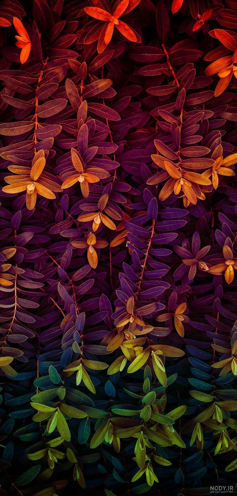 دانلود تصاویر پس زمینه آیفون iphone wallpaper موبایل + 210 عکس با کیفیت اپل دانلود تصاویر پس زمینه آیفون iphone wallpaper موبایل + 210 عکس با کیفیت اپل
