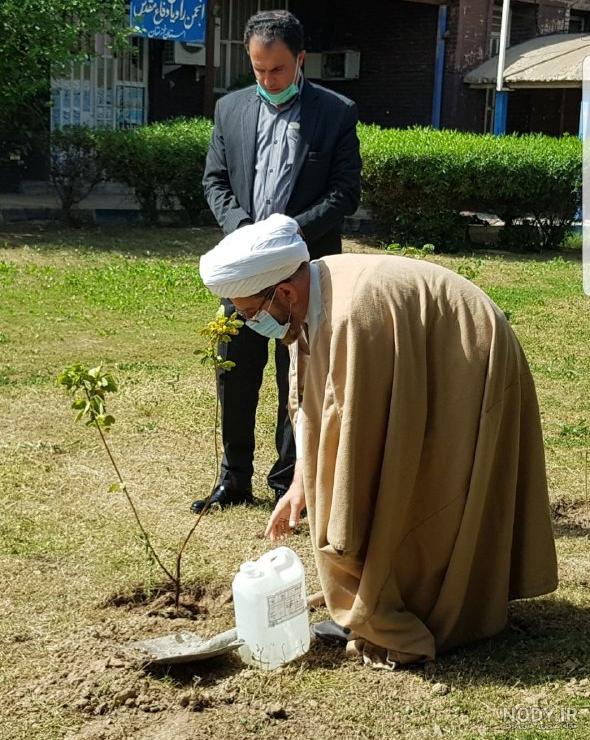 صفر تا صد مراحل جدید کاشت درخت پسته | نهالستان گلد نهال صفر تا صد مراحل جدید کاشت درخت پسته | نهالستان گلد نهال