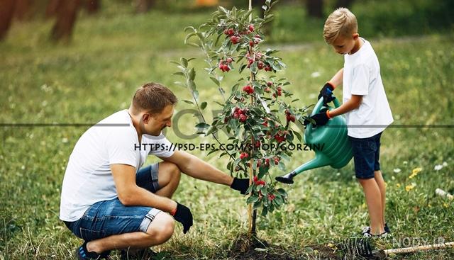 عکس / کاشت نهال در آستانه روز درختکاری عکس / کاشت نهال در آستانه روز درختکاری