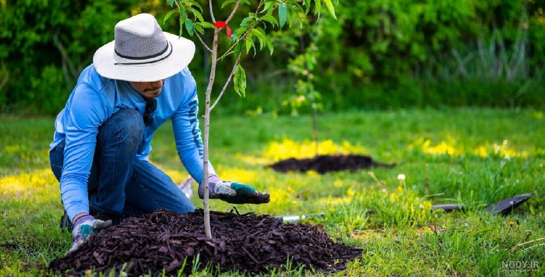 عکس / کاشت نهال به مناسبت هفته منابع طبیعی عکس / کاشت نهال به مناسبت هفته منابع طبیعی