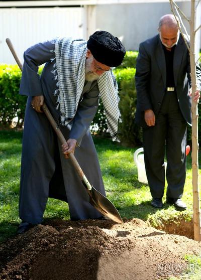 عکس / کاشت نهال در روز درختکاری عکس / کاشت نهال در روز درختکاری