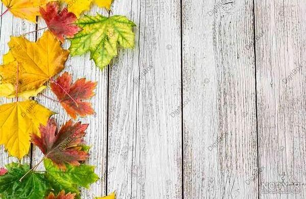 عکس تصویر زمینه برای نوشتن