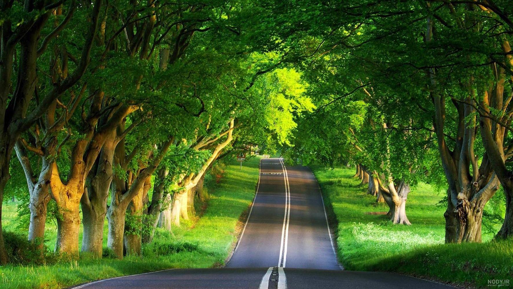 عکس سبز مشکی - عکس نودی عکس سبز مشکی - عکس نودی