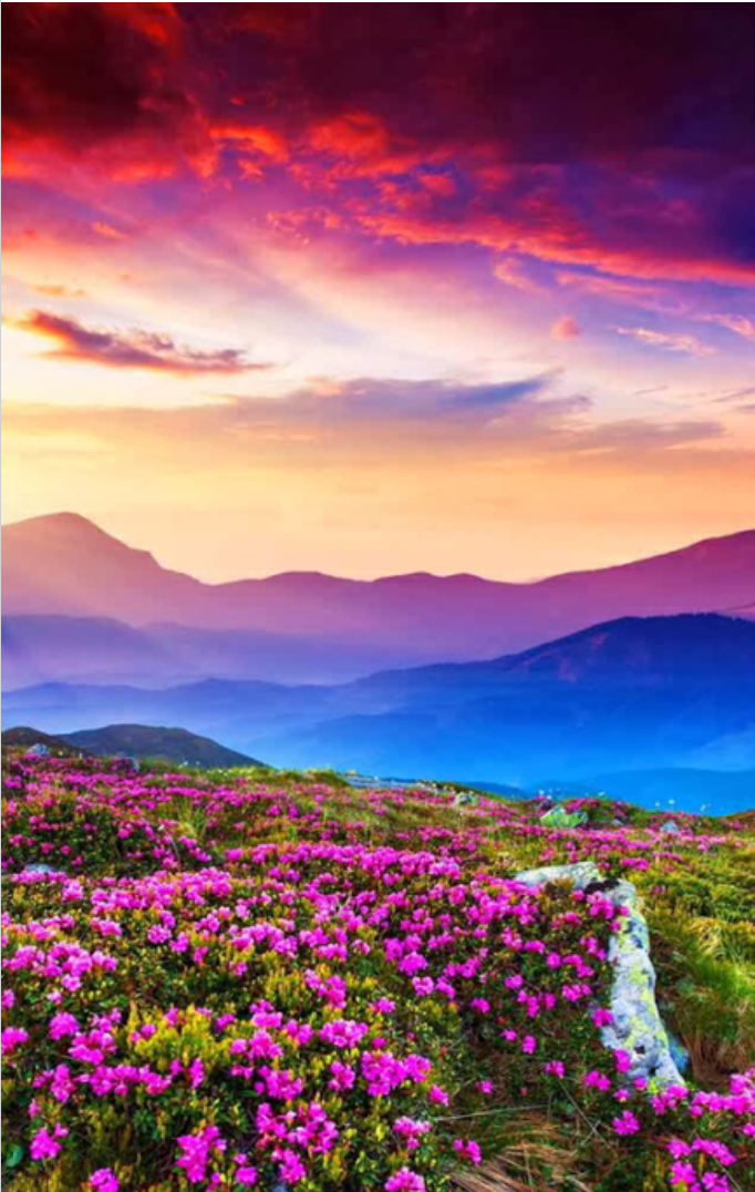 عکس شاد زیبا برای پروفایل ❤️ [ بهترین تصاویر ]