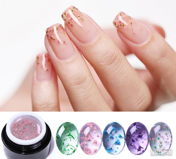 عکس کاشت ژله ای