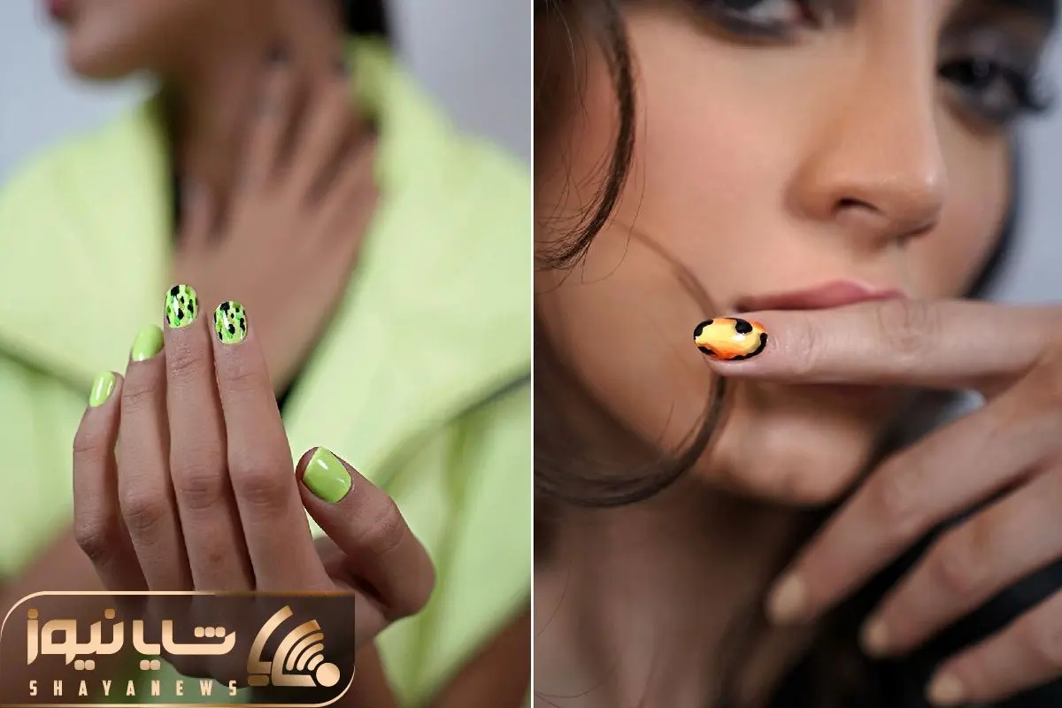 عکس کاشت ژلی