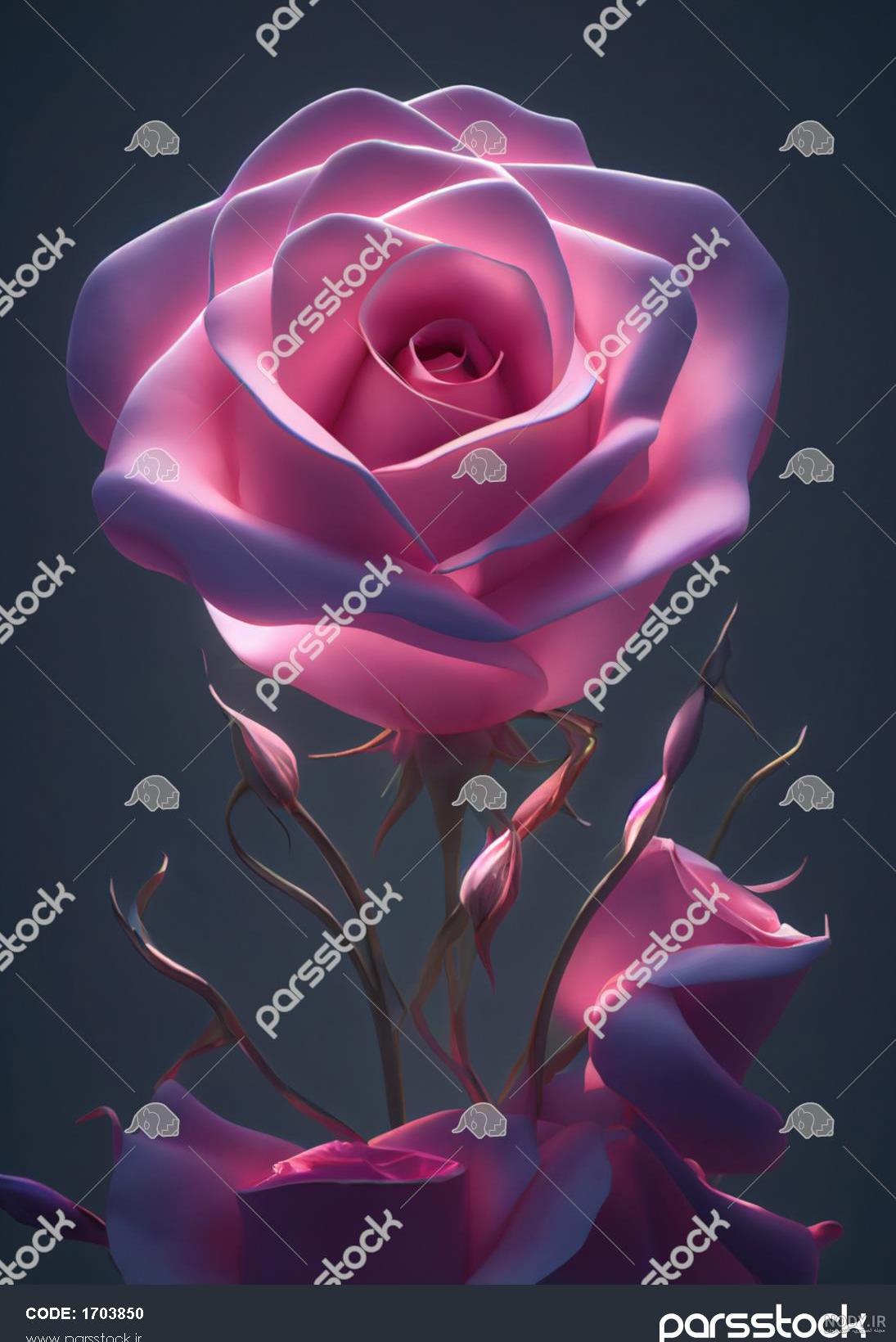 عکس گل رز زیبا برای تصویر زمینه عکس گل رز زیبا برای تصویر زمینه