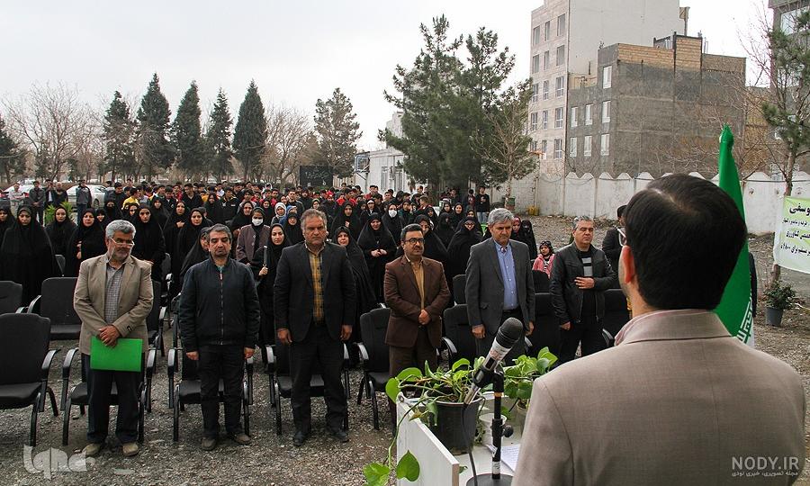 نازبو | نکات مهم در کاشت نهال نازبو | نکات مهم در کاشت نهال