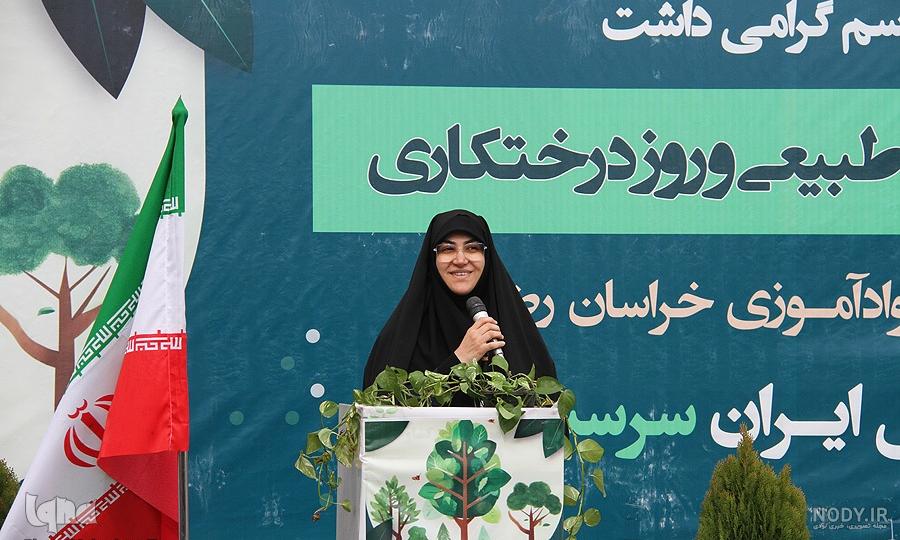 نکات بسیار ضروری که درباره کاشت نهال باید بدانید تا محیط ریست را سالم نگه دارید. نکات بسیار ضروری که درباره کاشت نهال باید بدانید تا محیط ریست را سالم نگه دارید.