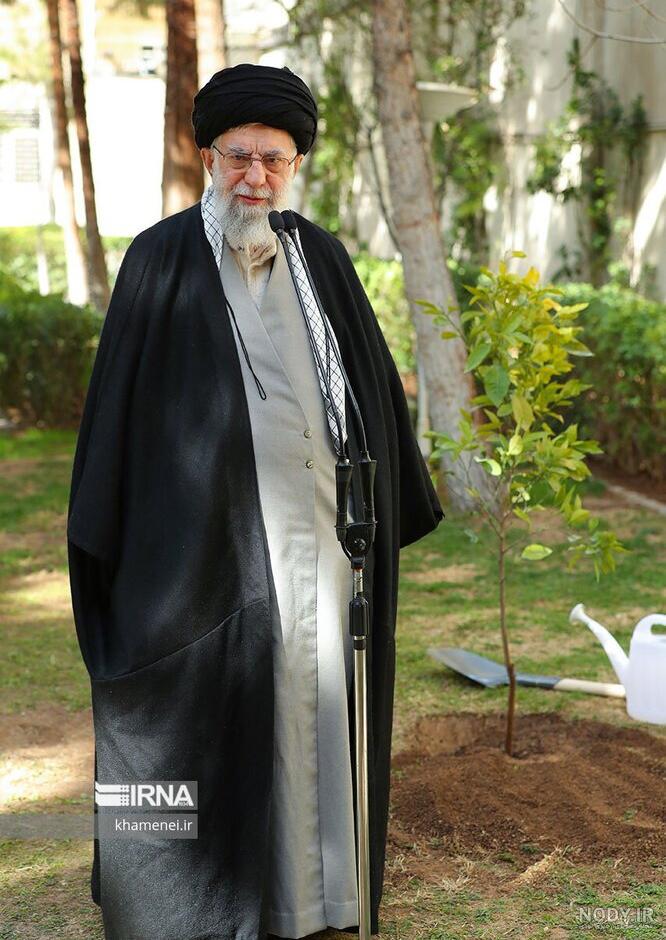 کاشت درخت در آستانه روز درختکاری :: Leader.ir کاشت درخت در آستانه روز درختکاری :: Leader.ir