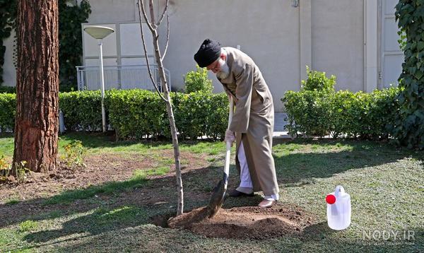 کاشت درخت توسط مقام معظم رهبری در روز درختکاری (عکس) کاشت درخت توسط مقام معظم رهبری در روز درختکاری (عکس)