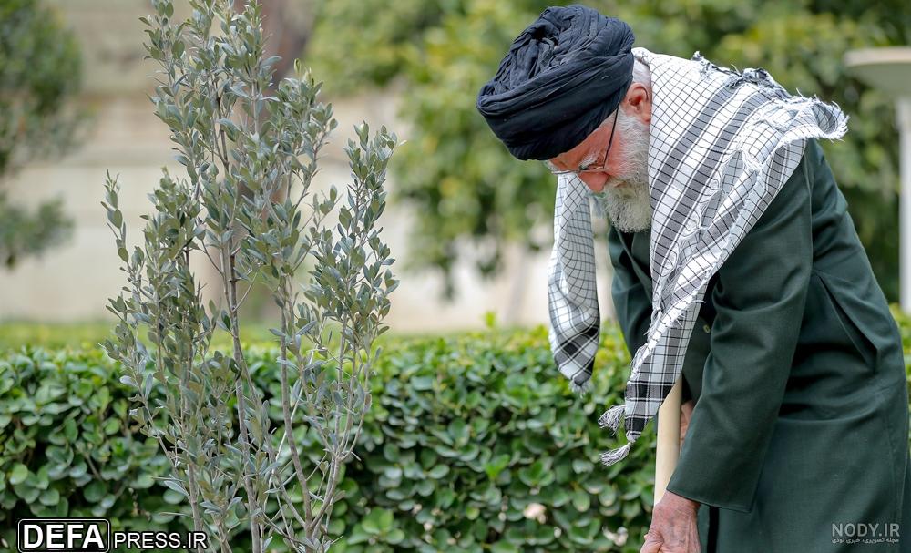 کاشت نهال توسط مقام معظم رهبری (عکس) کاشت نهال توسط مقام معظم رهبری (عکس)