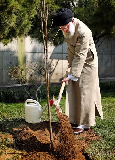 کاشت نهال چگونه می باشد؟ {آموزش کاشت 25 رقم از درختان میوه} | نهالستان آریا نهال کاشت نهال چگونه می باشد؟ {آموزش کاشت 25 رقم از درختان میوه} | نهالستان آریا نهال