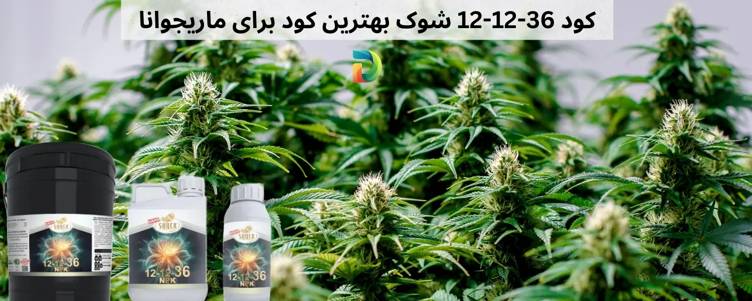 گاوبانگی، مزرعه ماری‌جوانا در پارک ملی مازندران را لو داد - ایرنا