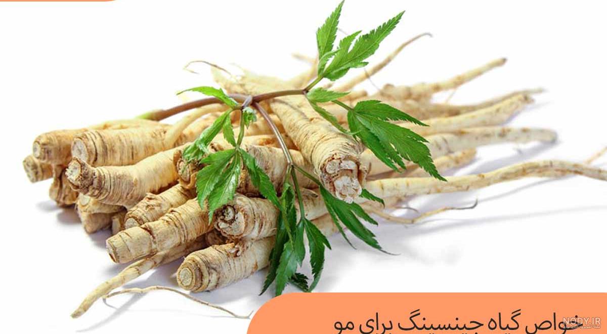 جینسینگ برای لاغری + معرفی بهترین جینسینگ برای کاهش وزن جینسینگ برای لاغری + معرفی بهترین جینسینگ برای کاهش وزن