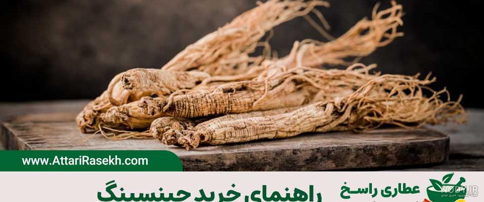 عکس ریشه گیاه جینسینگ عکس ریشه گیاه جینسینگ