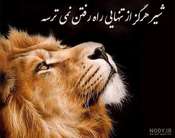 عکس پروفایل جینگول