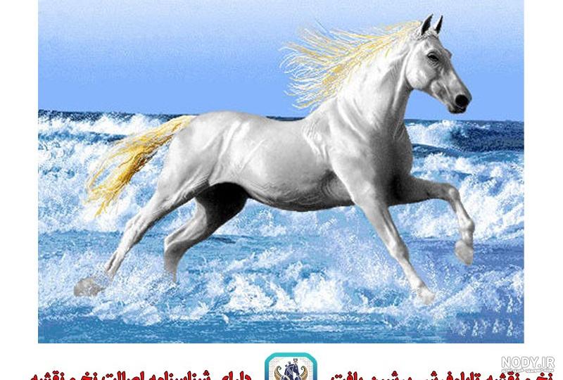 خرید و قیمت نمای نزدیک از اجرا شده فرشینه | ترب خرید و قیمت نمای نزدیک از اجرا شده فرشینه | ترب