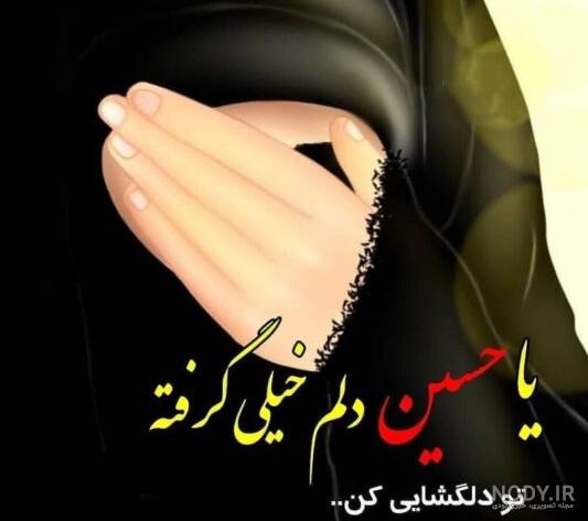 عکس ضریح امام حسین برای پروفایل عکس ضریح امام حسین برای پروفایل