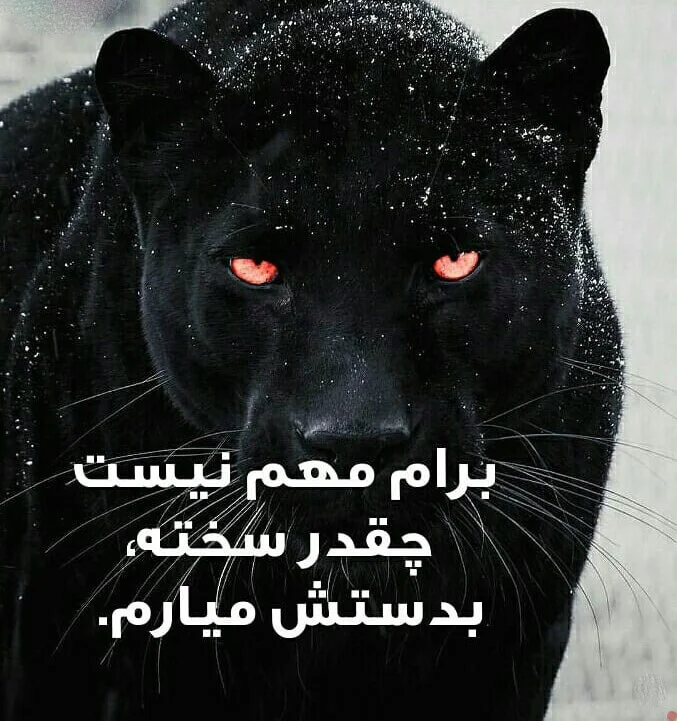 عکس نوشته انگیزشی خفن دخترانه - عکس نودی