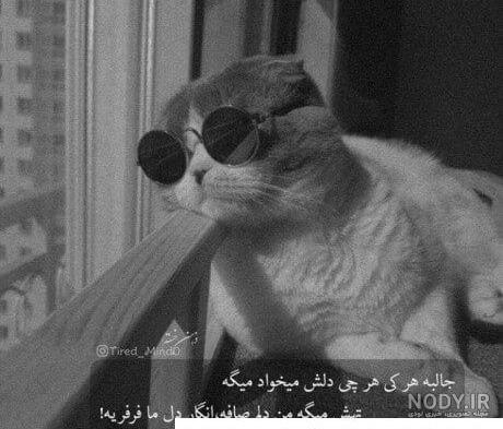 عکس پروف سنگین دخترونه