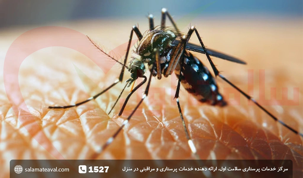 انواع نیش حشرات و درمان خانگی آن | پذیرش۲۴