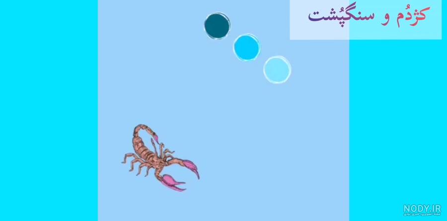 تعبیر خواب عقرب قرمز | توپ تاپ - تــــــــوپ تـــــــــاپ تعبیر خواب عقرب قرمز | توپ تاپ - تــــــــوپ تـــــــــاپ