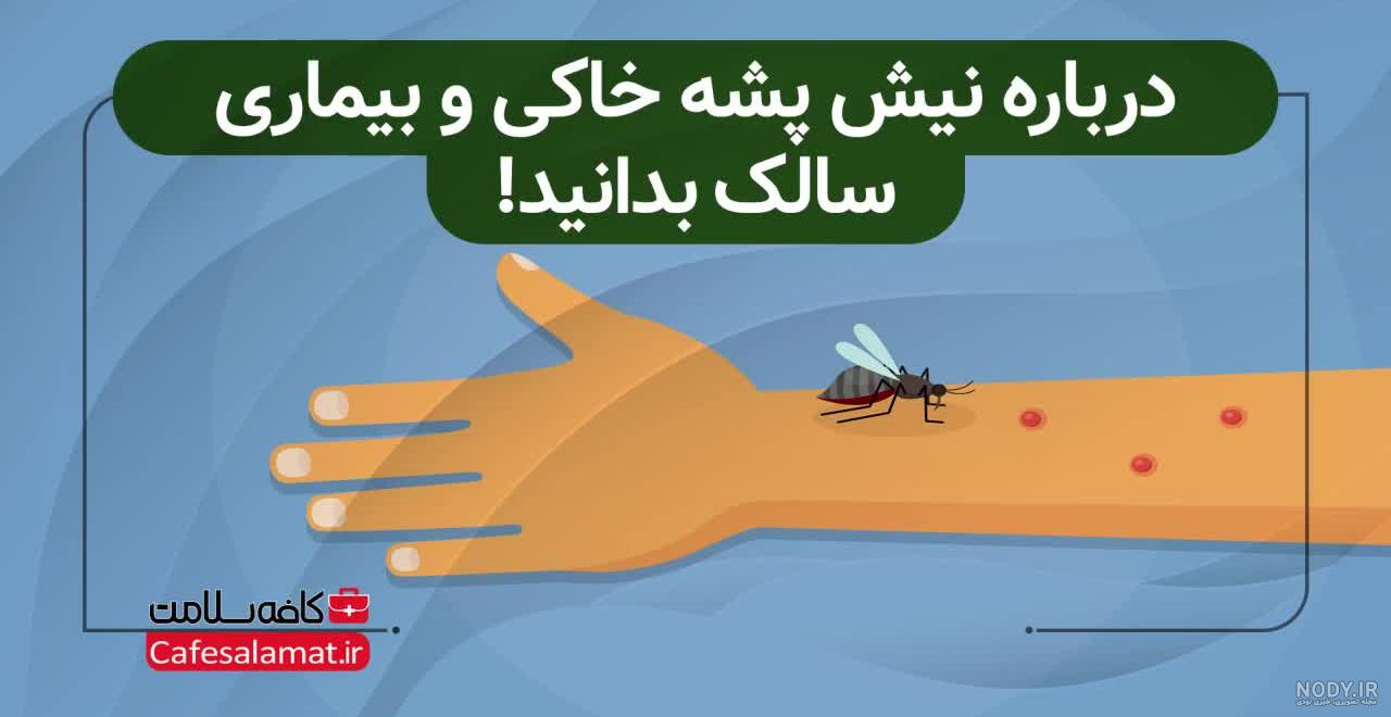 توصیه هایی برای پیشگیری از گزش پشه خاكی و انتقال سالك - ایرنا توصیه هایی برای پیشگیری از گزش پشه خاكی و انتقال سالك - ایرنا