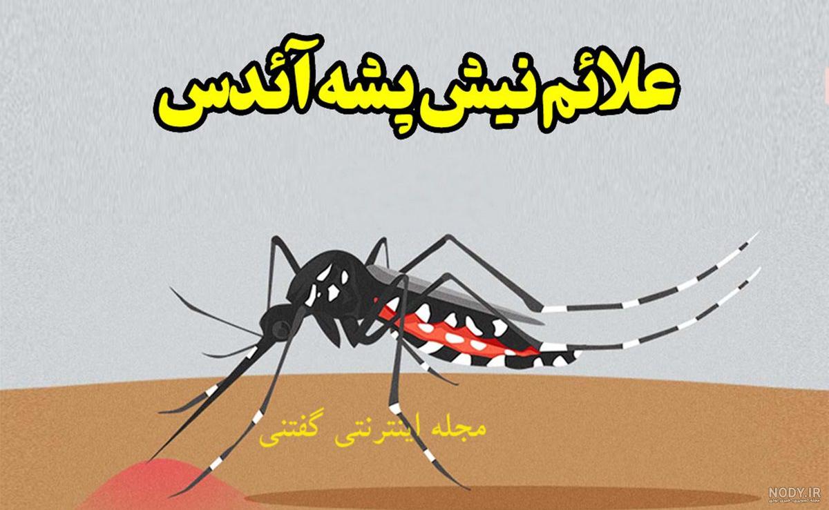 شرکت سمپاشی نگین دشت - تفاوت گزش ساس و پشه | سمپاشی ساس | شرکت نگین دشت