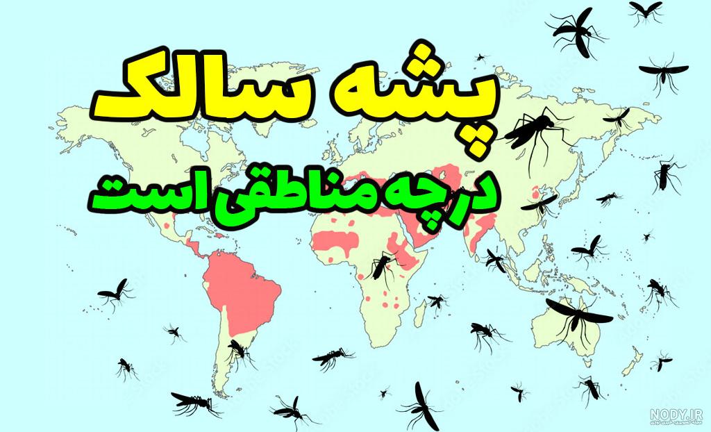 عکس جای نیش پشه سالک - مدرن لیزر
