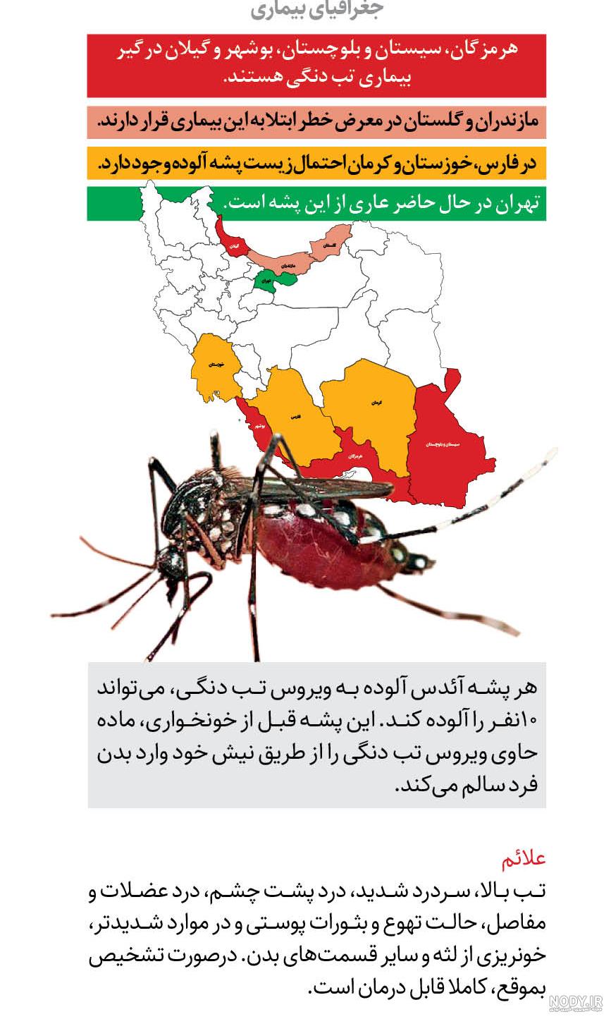 عکس/ مه‌پاشی و سم‌پاشی علیه پشه «آئدس» - حلقه وصل