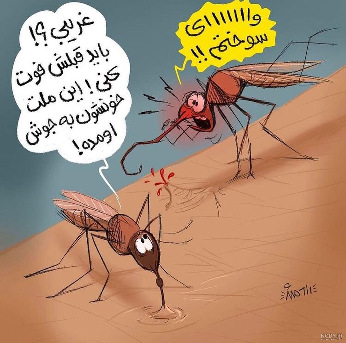 عکس نیش زدن پشه دنگی