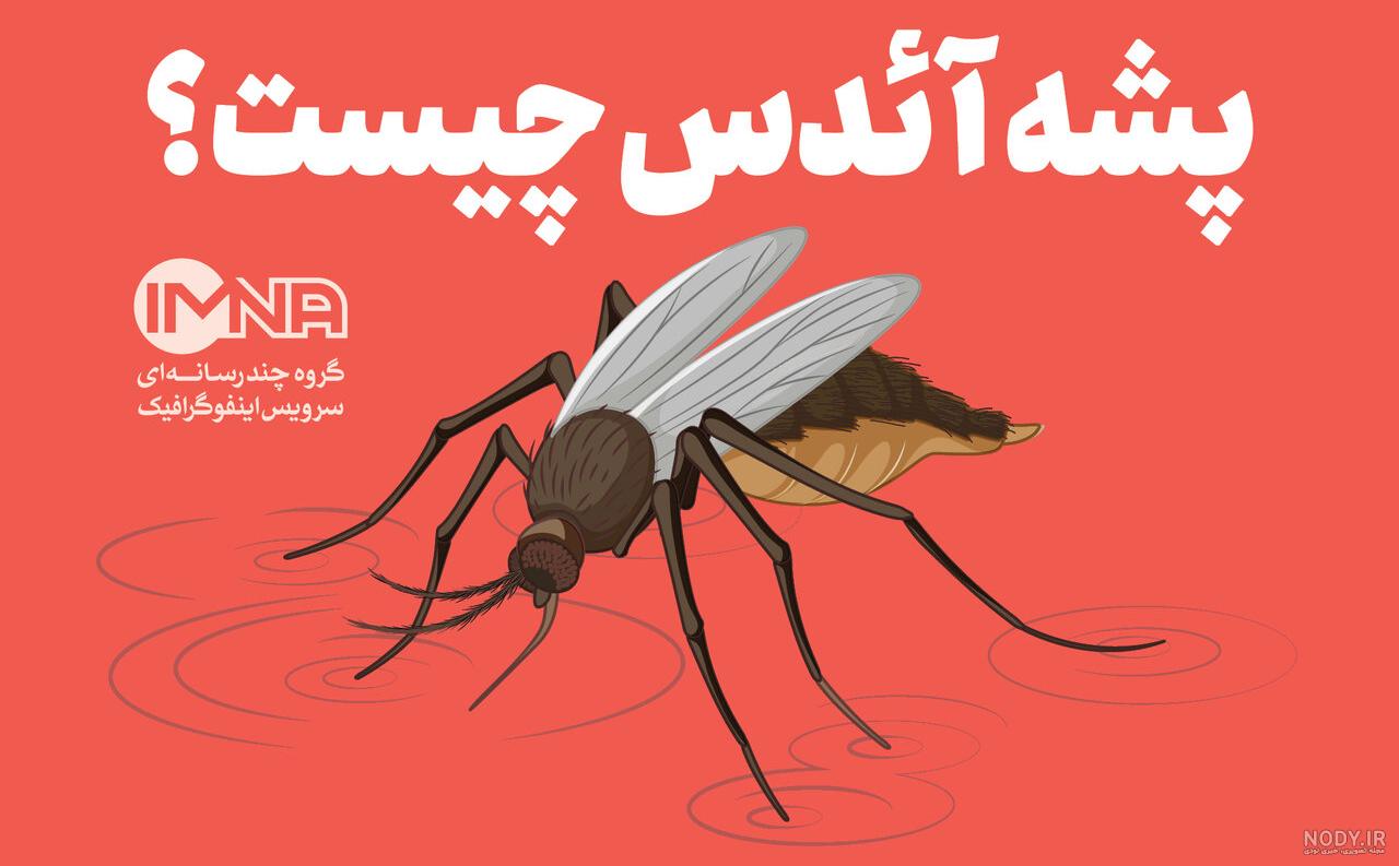 عکس نیش پشه آئدس