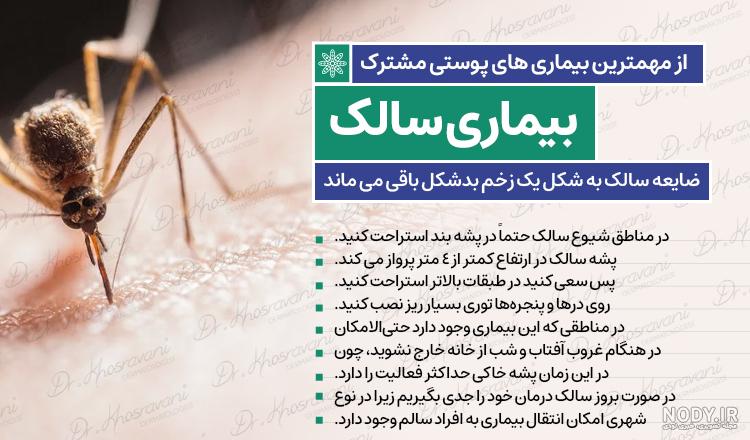 عکس نیش پشه سالک (پشه سالک چیست؟) | فروشگاه اینترنتی چیترا