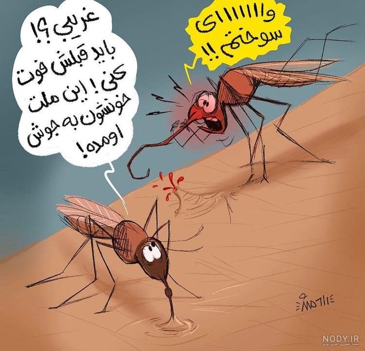 عکس نیش پشه ها