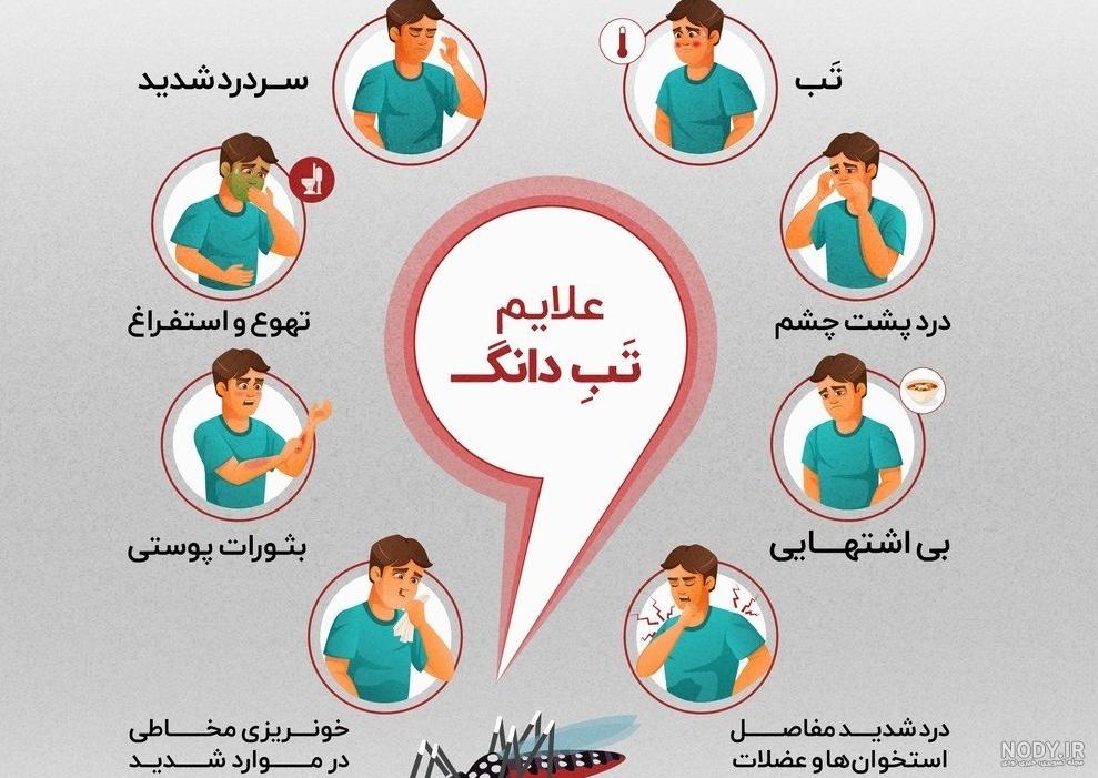 عکس پشه آئدس (Aedes) | همه چیز درباره ‌پشه آئدس و بیماری تب دنگی - دیبامگ
