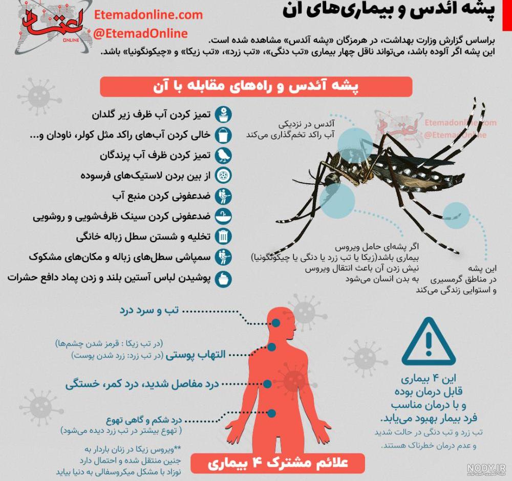 مراقب پشه آئدس باشید/ علائم تب دانگی چیست - ایرنا