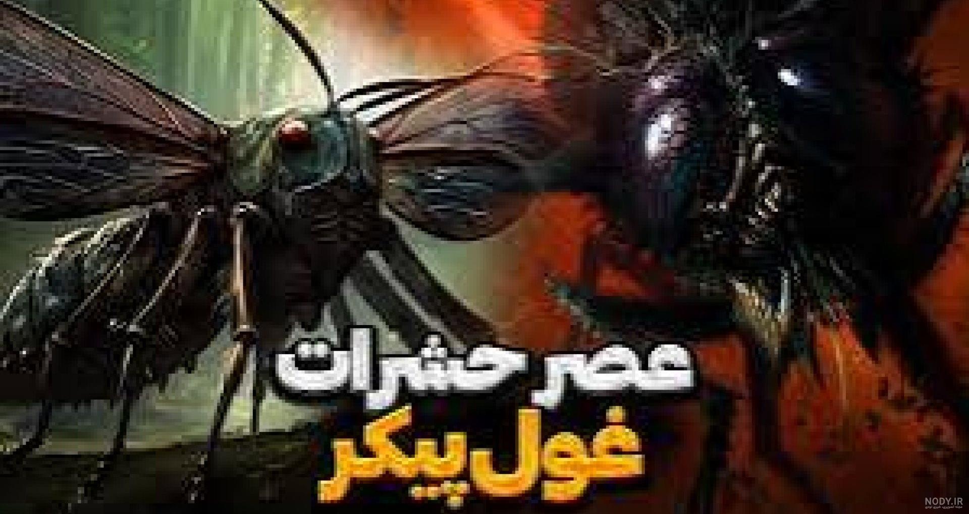 هجوم میلیون ها پشه غول پیکر به بلاروس /عکس هجوم میلیون ها پشه غول پیکر به بلاروس /عکس