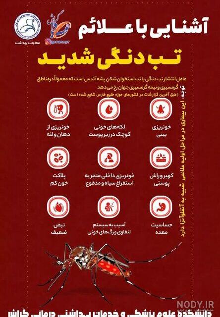 همه‌چیز درباره پشه آئدس و تب دنگی؛ چگونه با آن مقابله کنیم + عکس