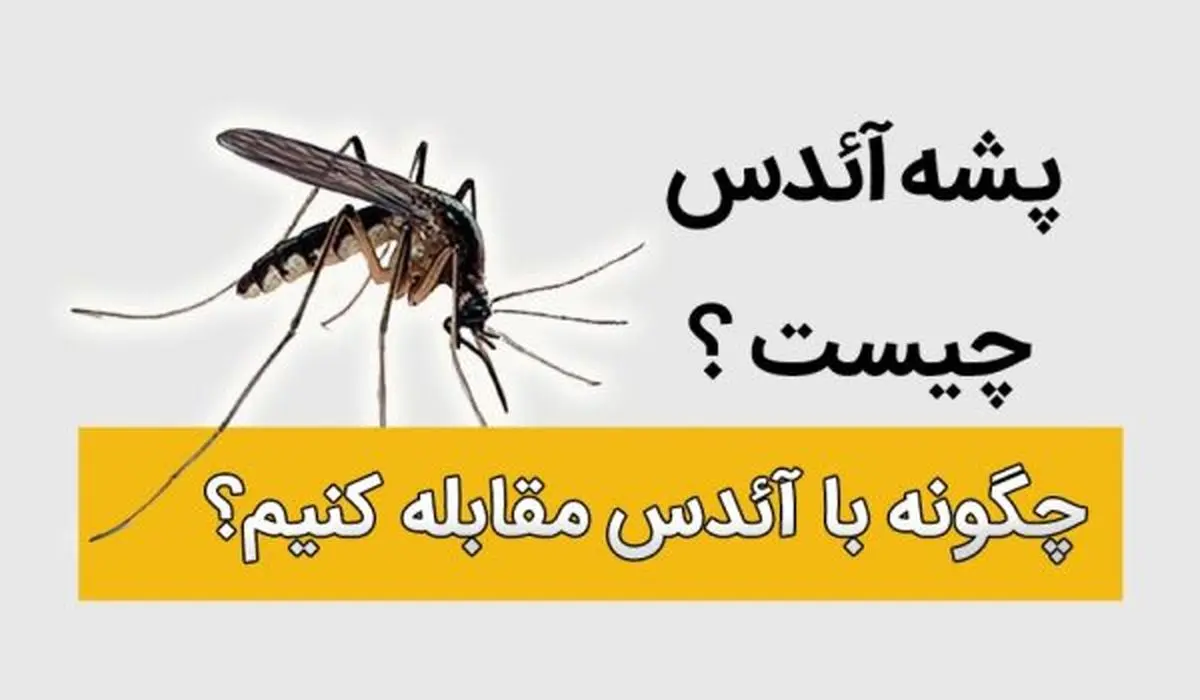 وضعیت اضطراری در سنگاپور به خاطر یک پشه! - همشهری آنلاین