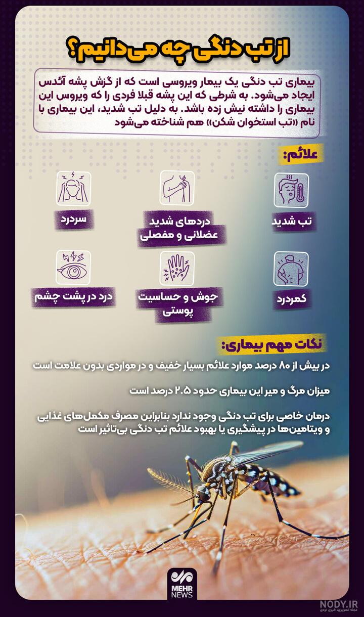 پشه آئدس یا تب دنگی چه علائمی دارد؟ | تصاویر + پیشگیری و درمان