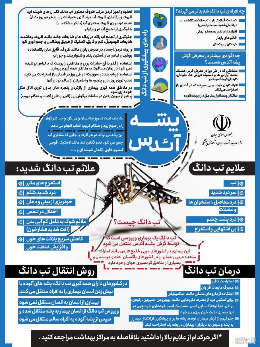 چگونه با پشه آئدس و تب دنگی مقابله کنیم؟ چگونه با پشه آئدس و تب دنگی مقابله کنیم؟