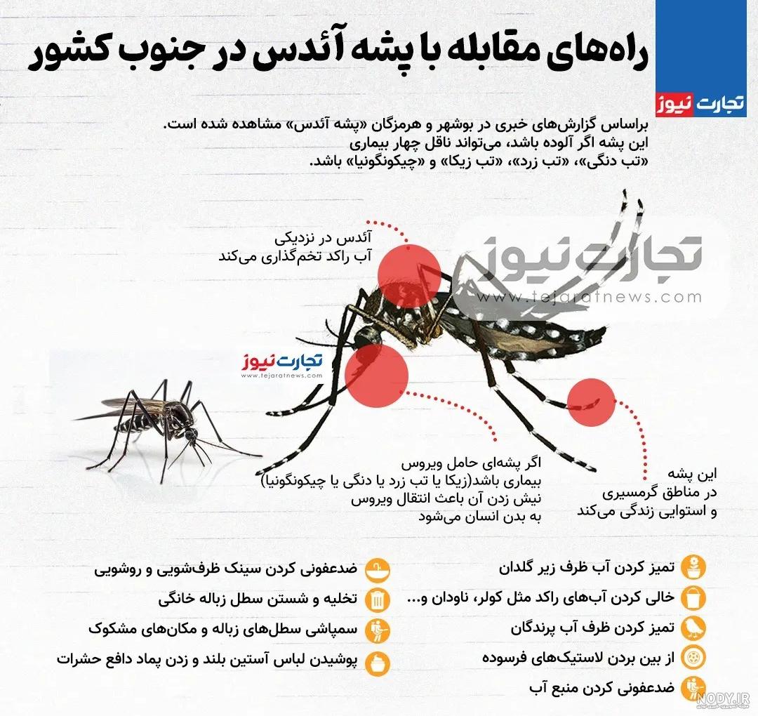 گزش پشه در برخی استان‌های کشور می‌تواند آئدس باشد/شناسایی ۹۲ بیمار و مرگ ۳  هموطن - ایرنا