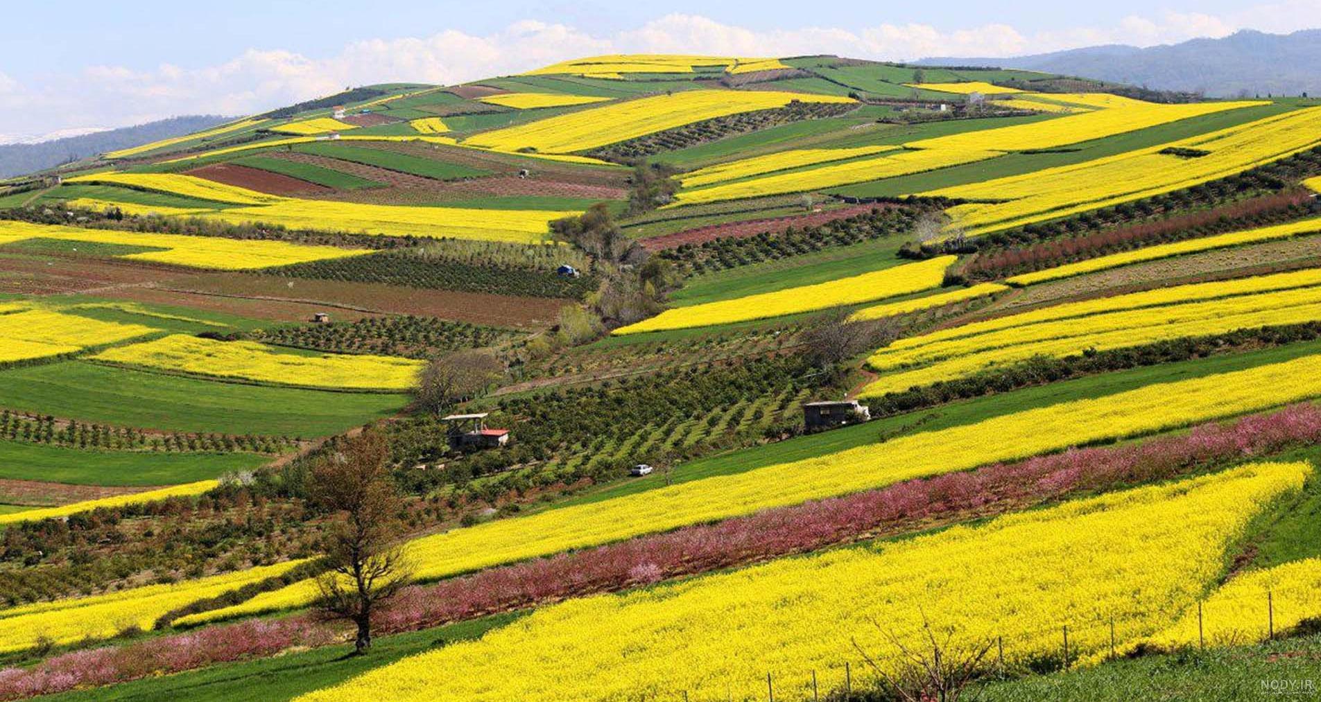 جاهای دیدنی شمال ، 58 جای فوق العاده دیدنی شمال ، جاهای دیدنی شمال ایران | اجاره ویلا و اجاره سوئیت در شمال ، کلبه جنگلی در شمال و سراسر کشور و جاهای دیدنی شمال ، 58 جای فوق العاده دیدنی شمال ، جاهای دیدنی شمال ایران | اجاره ویلا و اجاره سوئیت در شمال ، کلبه جنگلی در شمال و سراسر کشور و
